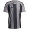 adidas Striped 24 Fu&szlig;balltrikot Herren IW2145 - team grey four/black S