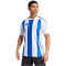 adidas Striped 24 Fußballtrikot Herren 001A - white/royblu XS