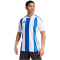 adidas Striped 24 Fu&szlig;balltrikot Herren 001A - white/royblu S