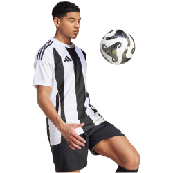 adidas Striped 24 Fu&szlig;balltrikot Herren 001A - white/black S