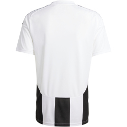 adidas Striped 24 Fu&szlig;balltrikot Herren IW2143 -...