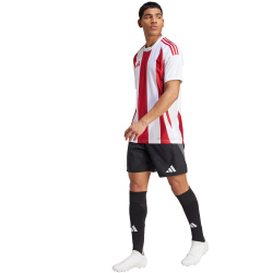 adidas Striped 24 Fu&szlig;balltrikot Herren 001A - white/tepore XS