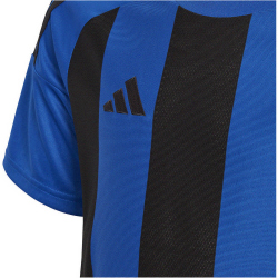 adidas Striped 24 Fu&szlig;balltrikot Kinder AD8R - royblu/black 116