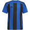 adidas Striped 24 Fu&szlig;balltrikot Kinder AD8R - royblu/black 116