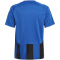 adidas Striped 24 Fu&szlig;balltrikot Kinder AD8R - royblu/black 116