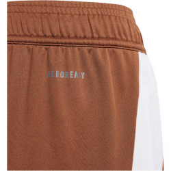 adidas RBFA Belgien Ausw&auml;rtsshorts 2024 Kinder AEWY - prebrn 128