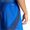 adidas Tiro24 Competition Match Fu&szlig;ballshorts Herren AD8R - royblu XS