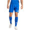 adidas Tiro24 Competition Match Fu&szlig;ballshorts Herren AD8R - royblu XL