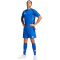 adidas Tiro24 Competition Match Fu&szlig;ballshorts Herren AD8R - royblu XL