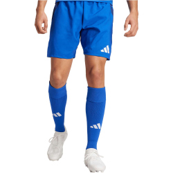 adidas Tiro24 Competition Match Fu&szlig;ballshorts Herren AD8R - royblu 3XL