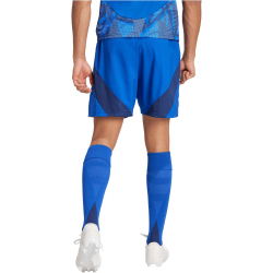 adidas Tiro24 Competition Match Fu&szlig;ballshorts Herren AD8R - royblu 3XL