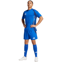 adidas Tiro24 Competition Match Fu&szlig;ballshorts Herren AD8R - royblu 3XL