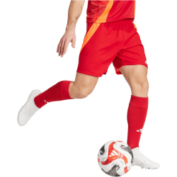 adidas Tiro24 Competition Match Fußballshorts Herren AEPU - tepore/apsord XS