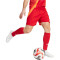 adidas Tiro24 Competition Match Fußballshorts Herren AEPU - tepore/apsord XS