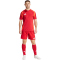 adidas Tiro24 Competition Match Fu&szlig;ballshorts Herren AEPU - tepore/apsord XL