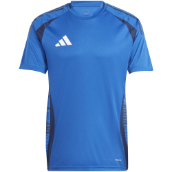 adidas Tiro24 Competition Match Fu&szlig;balltrikot Herren AD8R - royblu L