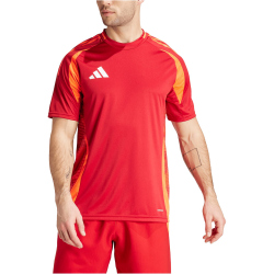 adidas Tiro24 Competition Match Fu&szlig;balltrikot Herren AEPU - tepore/apsord XS