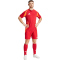 adidas Tiro24 Competition Match Fu&szlig;balltrikot Herren AEPU - tepore/apsord XS