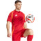 adidas Tiro24 Competition Match Fußballtrikot Herren AEPU - tepore/apsord M
