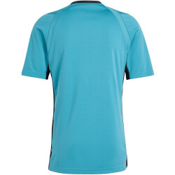 adidas Referee 24 Schiedsrichtertrikot Herren AEX2 - arcfus S