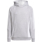 adidas Tiro 24 Sweat-Hoodie Kinder IR7505 - medium grey heather/white 116