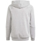 adidas Tiro 24 Sweat-Hoodie Kinder IR7505 - medium grey heather/white 116