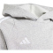 adidas Tiro 24 Sweat-Hoodie Kinder IR7505 - medium grey heather/white 116