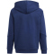 adidas Tiro 24 Sweat-Hoodie Kinder IR7504 - team navy blue 2/white 116