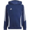 adidas Tiro24 Sweat-Hoodie Kinder AEQ1 - tenabl/white 116