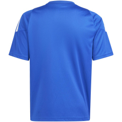 adidas Tiro 24 Fu&szlig;balltrikot Kinder IS1032 - team...
