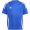adidas Tiro24 Fußballtrikot Kinder AD8R - royblu/white 116