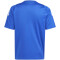 adidas Tiro24 Fußballtrikot Kinder AD8R - royblu/white 116