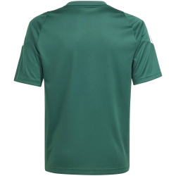 adidas Tiro 24 Fu&szlig;balltrikot Kinder IS1028 - team...