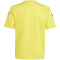 adidas Tiro 24 Fu&szlig;balltrikot Kinder IS1027 - team yellow/white 116