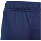 adidas Tiro 24 Trainingsshorts Kinder IS1003 - team navy blue 2/white 116
