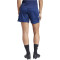 adidas Tiro24 Trainingsshorts Damen AEQ1 - tenabl/white XS