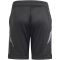 adidas Tiro 24 Competition Trainingsshorts Kinder IP7613 - black/team dark grey 116