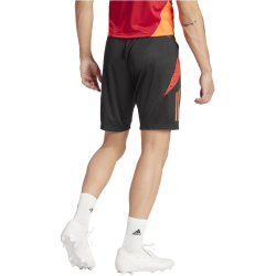 adidas Tiro24 Competition Trainingsshorts Herren 095A - black/apsord XS
