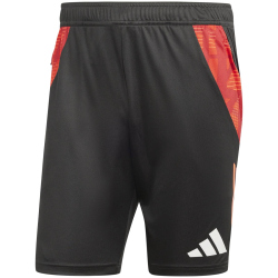 adidas Tiro24 Competition Trainingsshorts Herren 095A - black/apsord S