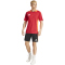 adidas Tiro24 Competition Trainingsshorts Herren 095A - black/apsord S