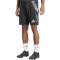 adidas Tiro24 Competition Trainingsshorts Herren 095A - black/tmdrgr XS