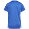 adidas Tiro24 Competition Trainingstrikot Damen AD8R - royblu XXS