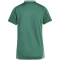adidas Tiro 24 Competition Trainingstrikot Damen IR5464 - team dark green XS