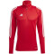 adidas Tiro24 Training-Sweatshirt Herren AEPU - tepore/white 4XL/T
