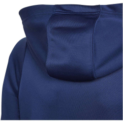 adidas Tiro24 Trainings-Hoodie Kinder AEQ1 - tenabl/white 116