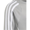 adidas Tiro24 Trainings-Hoodie Kinder ADFC - tmmdgr/white 128