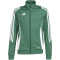 adidas Tiro 24 Trainingsjacke Kinder IR7503 - team dark green/white 116