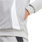 adidas Tiro 24 Trainings-Hoodie Herren IR7551 - team mid grey/white XS