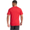 adidas Tiro 24 Sweat Fußball-Trainingsshirt Herren IR9349 - team power red 2/white XS