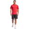 adidas Tiro 24 Sweat Fußball-Trainingsshirt Herren IR9349 - team power red 2/white XS